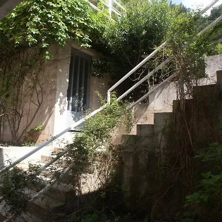 Studio 301d Башка-Вода